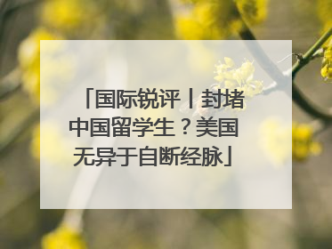国际锐评丨封堵中国留学生？美国无异于自断经脉