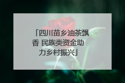 四川苗乡油茶飘香 民族类资金助力乡村振兴