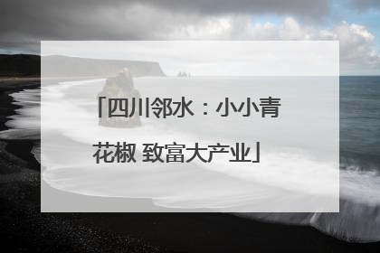 四川邻水：小小青花椒 致富大产业