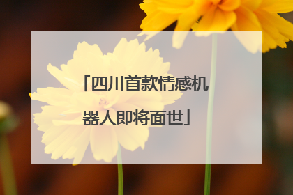 四川首款情感机器人即将面世