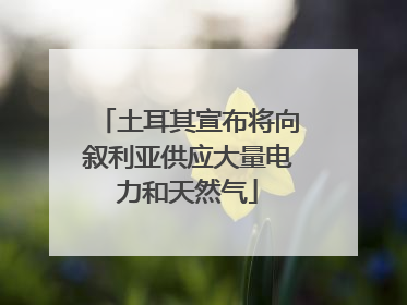 土耳其宣布将向叙利亚供应大量电力和天然气