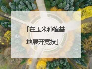 在玉米种植基地展开竞技