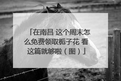 在南昌 这个周末怎么免费领取栀子花 看这篇就够啦（图）