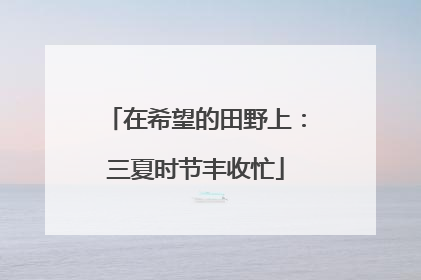 在希望的田野上：三夏时节丰收忙