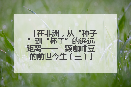 在非洲，从“种子”到“杯子”的遥远距离——一颗咖啡豆的前世今生（三）