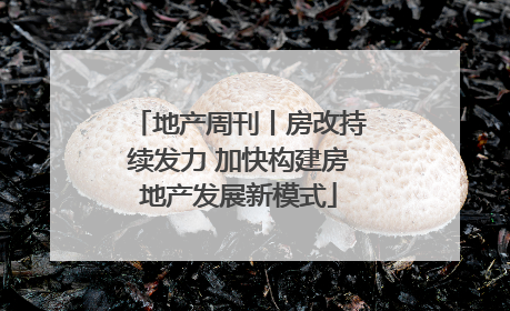 地产周刊丨房改持续发力 加快构建房地产发展新模式
