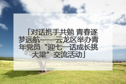 对话携手共勉 青春逐梦远航——云龙区举办青年党员“迎七一话成长挑大梁”交流活动