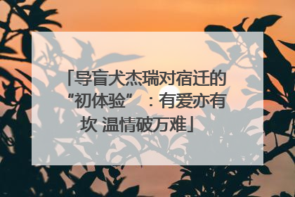 导盲犬杰瑞对宿迁的“初体验”：有爱亦有坎 温情破万难