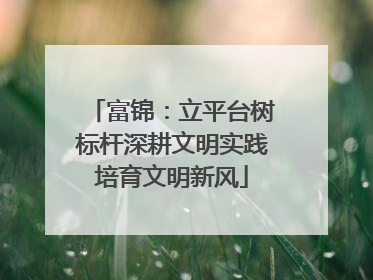 富锦：立平台树标杆深耕文明实践培育文明新风