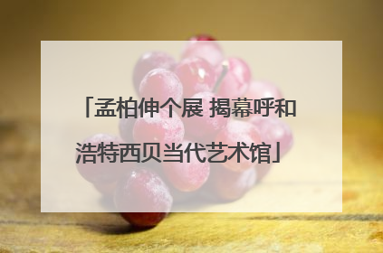 孟柏伸个展 揭幕呼和浩特西贝当代艺术馆