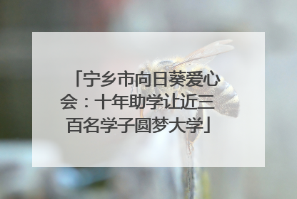 宁乡市向日葵爱心会：十年助学让近三百名学子圆梦大学