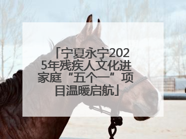 宁夏永宁2025年残疾人文化进家庭“五个一”项目温暖启航