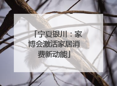 宁夏银川：家博会激活家居消费新动能