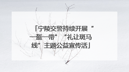 宁陵交警持续开展“一盔一带”“礼让斑马线”主题公益宣传活