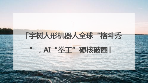 宇树人形机器人全球“格斗秀”，AI“拳王”硬核破圈