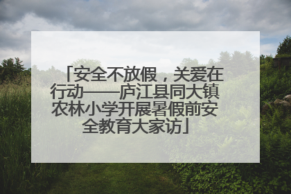 安全不放假，关爱在行动——庐江县同大镇农林小学开展暑假前安全教育大家访