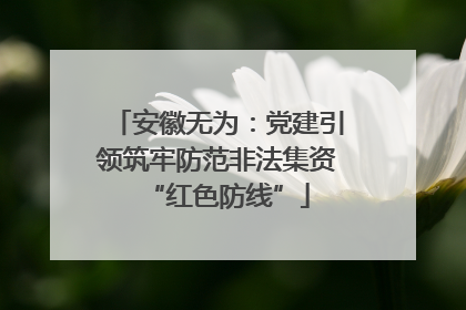 安徽无为：党建引领筑牢防范非法集资“红色防线”