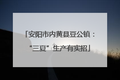 安阳市内黄县豆公镇：“三夏”生产有实招