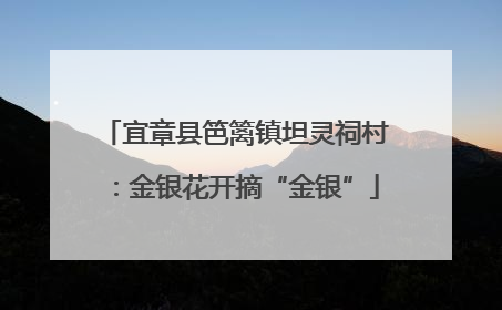 宜章县笆篱镇坦灵祠村：金银花开摘“金银”