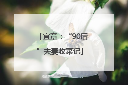 宜章：“90后”夫妻收菜记