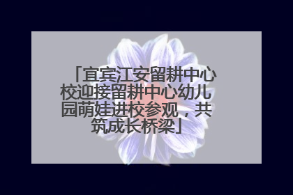 宜宾江安留耕中心校迎接留耕中心幼儿园萌娃进校参观，共筑成长桥梁