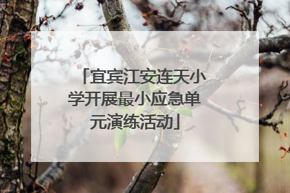 宜宾江安连天小学开展最小应急单元演练活动