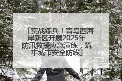 实战练兵！青岛西海岸新区开展2025年防汛救援应急演练，筑牢城市安全防线