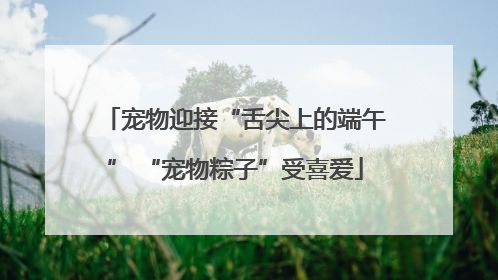 宠物迎接“舌尖上的端午” “宠物粽子”受喜爱