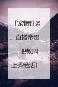 宠物针灸、直播带货……职教周上秀绝活