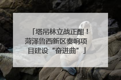 塔吊林立战正酣！菏泽鲁西新区奏响项目建设“奋进曲”