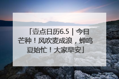 壹点日历6.5｜今日芒种！风吹麦成浪，蝉鸣夏始忙！大家早安