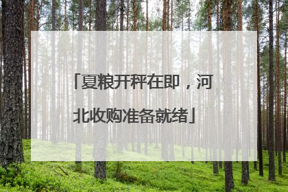 夏粮开秤在即，河北收购准备就绪