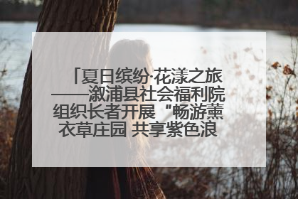 夏日缤纷·花漾之旅——溆浦县社会福利院组织长者开展“畅游薰衣草庄园 共享紫色浪漫”户外活动