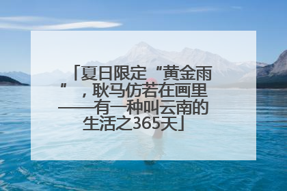 夏日限定“黄金雨”，耿马仿若在画里——有一种叫云南的生活之365天