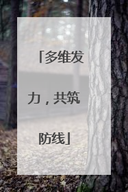 多维发力，共筑防线