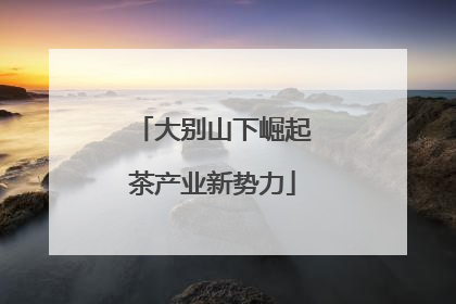 大别山下崛起茶产业新势力