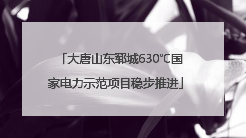 大唐山东郓城630℃国家电力示范项目稳步推进
