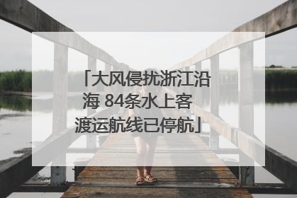 大风侵扰浙江沿海 84条水上客渡运航线已停航