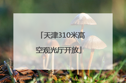 天津310米高空观光厅开放