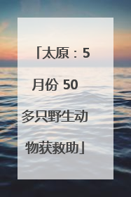 太原：5月份 50多只野生动物获救助