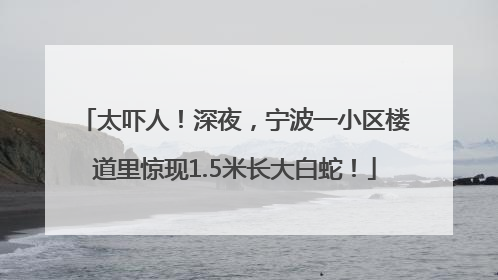 太吓人！深夜，宁波一小区楼道里惊现1.5米长大白蛇！