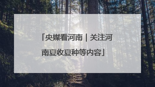 央媒看河南｜关注河南夏收夏种等内容