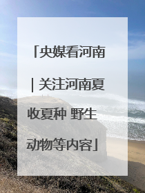 央媒看河南｜关注河南夏收夏种 野生动物等内容