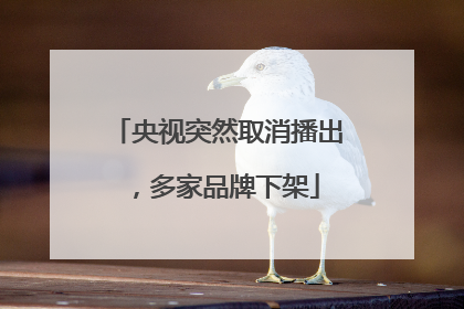央视突然取消播出，多家品牌下架