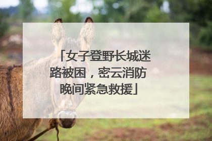 女子登野长城迷路被困，密云消防晚间紧急救援