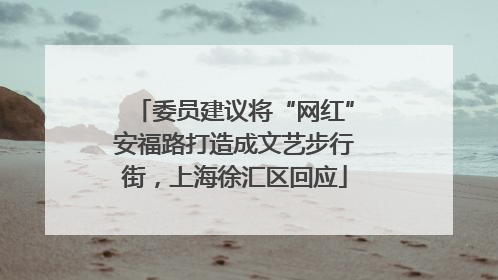 委员建议将“网红”安福路打造成文艺步行街，上海徐汇区回应