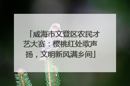 威海市文登区农民才艺大赛：樱桃红处歌声扬，文明新风满乡间