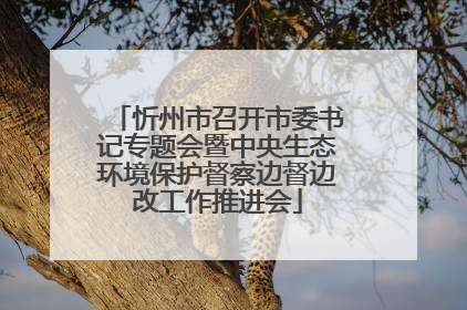忻州市召开市委书记专题会暨中央生态环境保护督察边督边改工作推进会