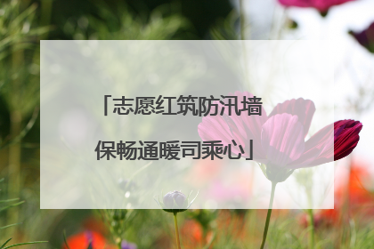 志愿红筑防汛墙 保畅通暖司乘心