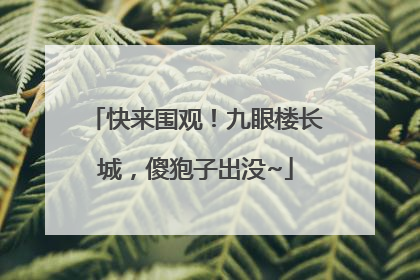 快来围观！九眼楼长城，傻狍子出没~